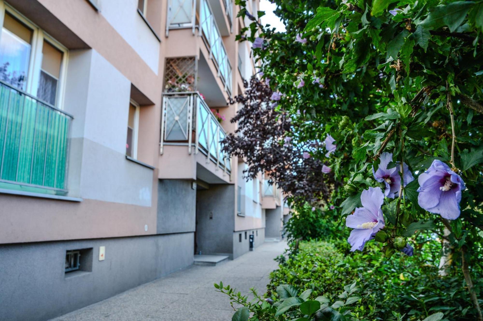Alabas - Modern In Historic Wroclaw! Apartment